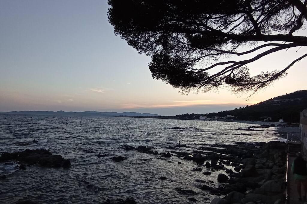 Maison Au Calme Avec Jardin Et Piscine Saint Raphael Dış mekan fotoğraf